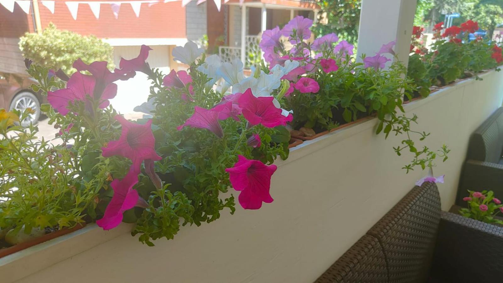Hotel Eriale Rimini Eksteriør billede
